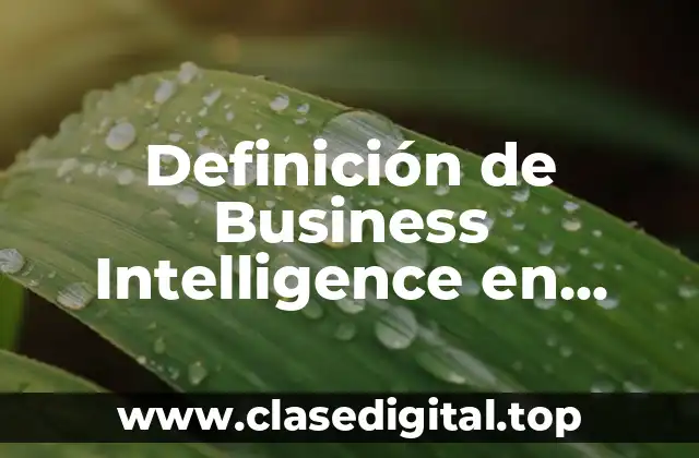 Definición de Business Intelligence en México