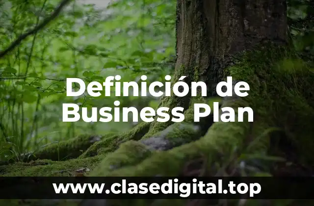 Definición de Business Plan