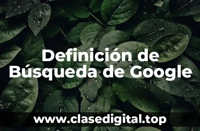 Definición de Búsqueda de Google