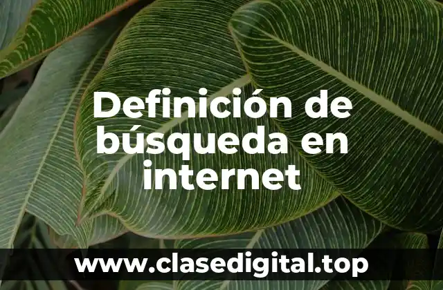 Definición de búsqueda en internet