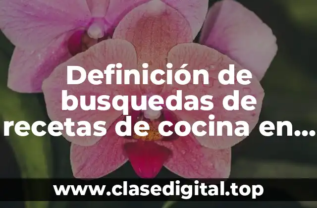 Definición de busquedas de recetas de cocina en internet