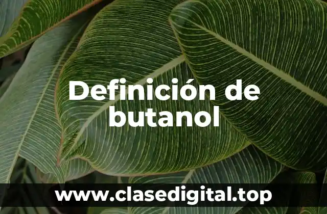 Definición de butanol