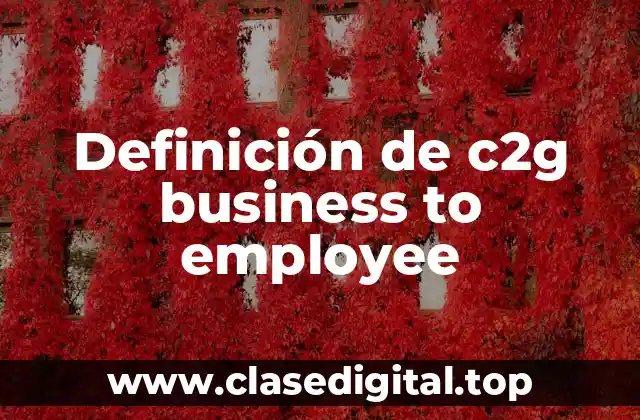 Definición de c2g business to employee