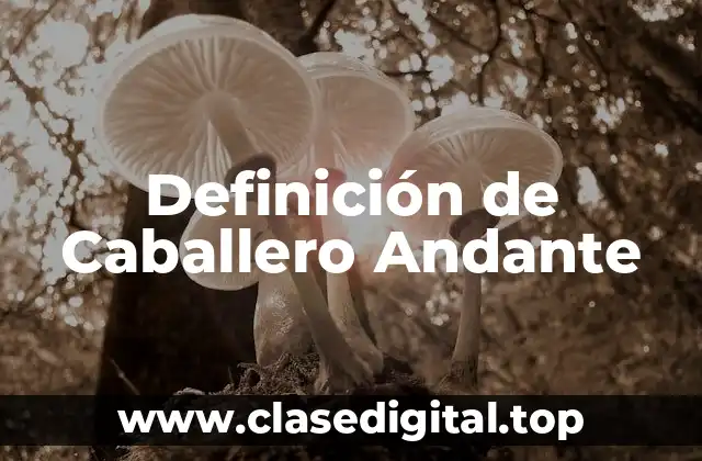Definición de Caballero Andante
