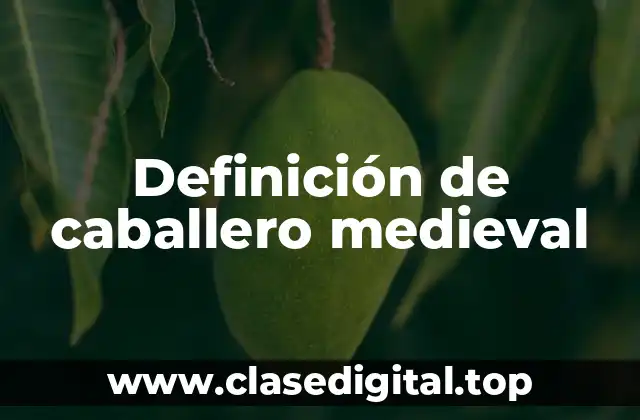 Definición de caballero medieval