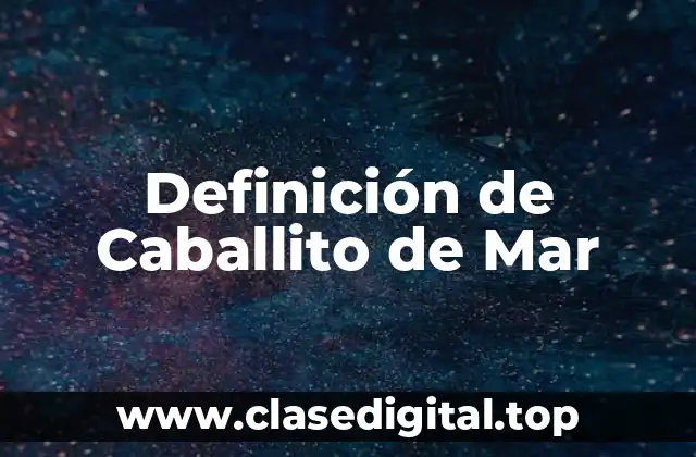 Definición de Caballito de Mar