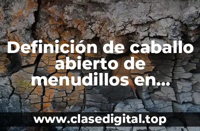 Definición de caballo abierto de menudillos en aplomos