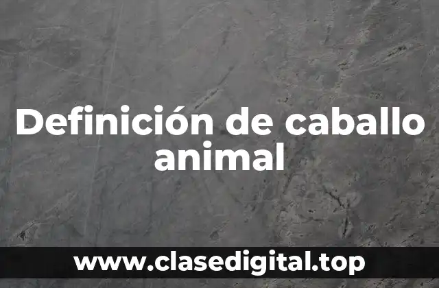 Definición de caballo animal