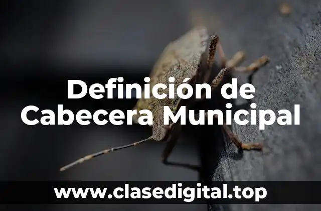 Definición de Cabecera Municipal
