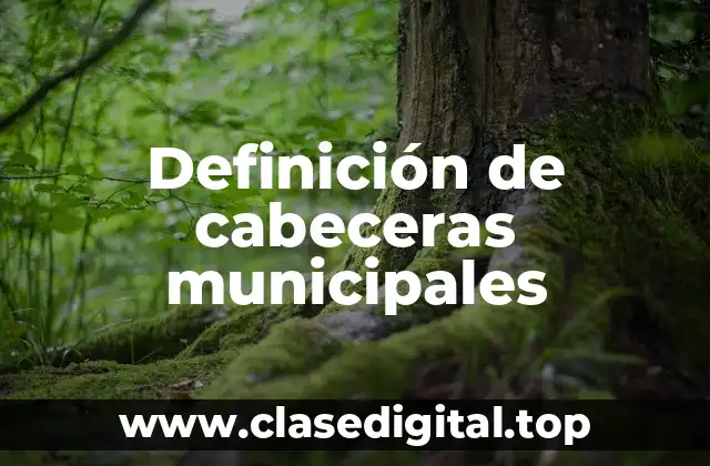 Definición de cabeceras municipales