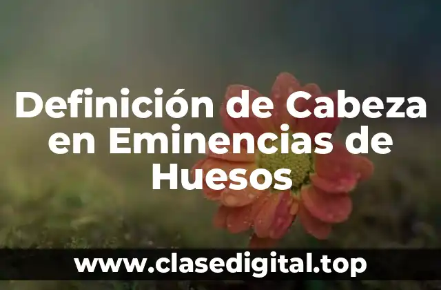 Definición de Cabeza en Eminencias de Huesos