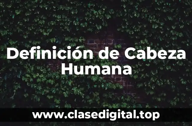 Definición técnica de cabeza humana