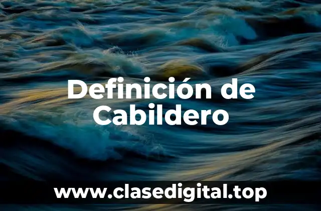 Definición de Cabildero