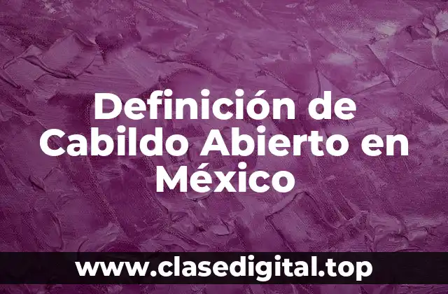 Ejemplos de Cabildo Abierto en México