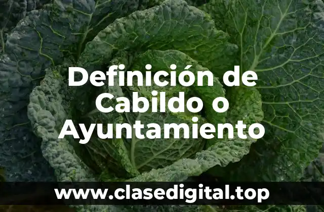Definición de Cabildo o Ayuntamiento