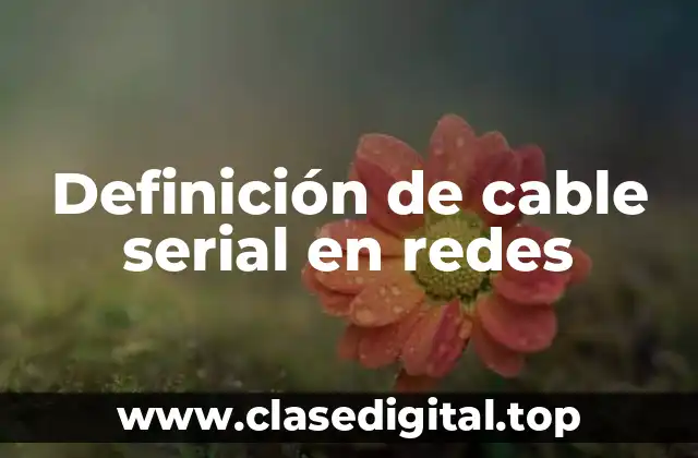 Definición de cable serial en redes