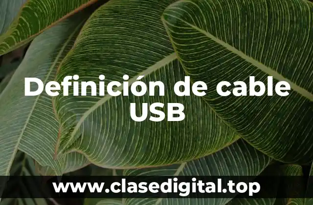 Definición de cable USB