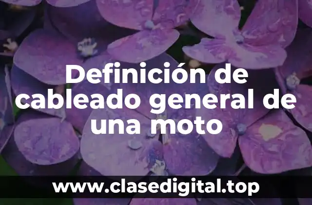 Definición de cableado general de una moto