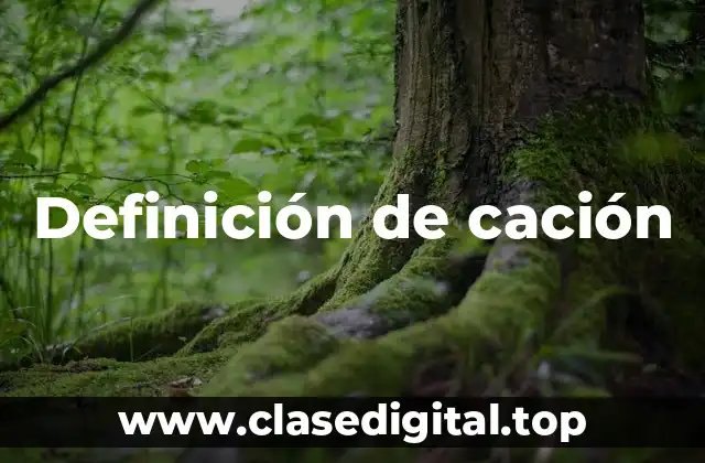 Definición de cación