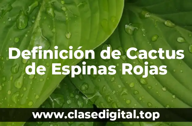 Definición de Cactus de Espinas Rojas