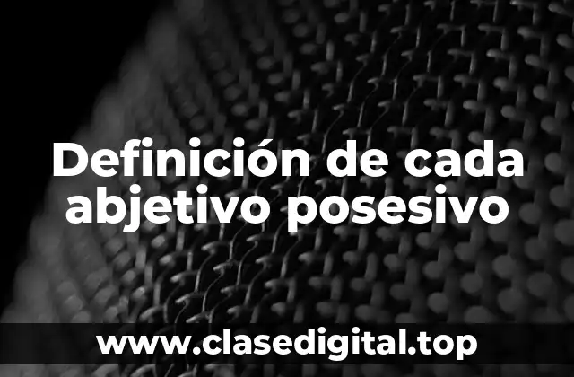 Definición de cada abjetivo posesivo