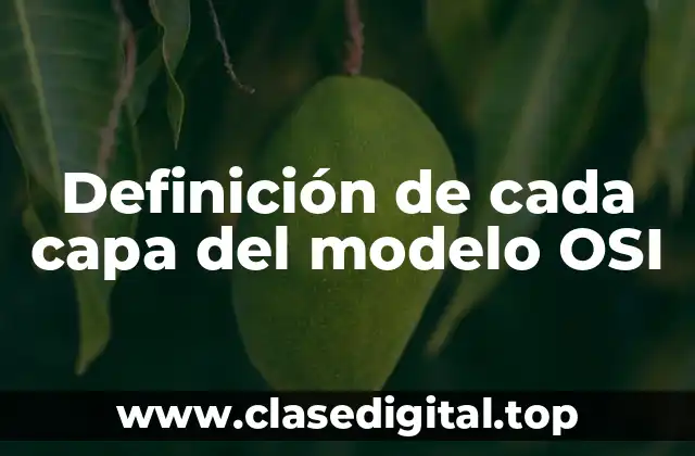 Ejemplos de cada capa del modelo OSI