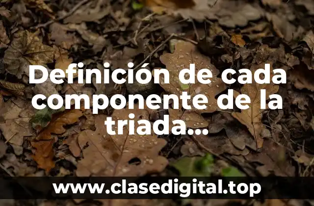 Definición de cada componente de la triada epidemiologica