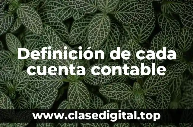 Definición de cada cuenta contable