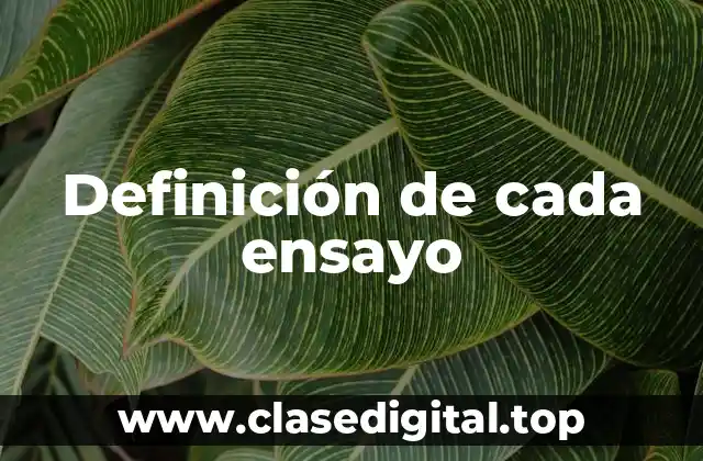 Definición de cada ensayo