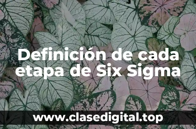 Definición de cada etapa de Six Sigma