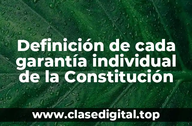 Definición de cada garantía individual de la Constitución