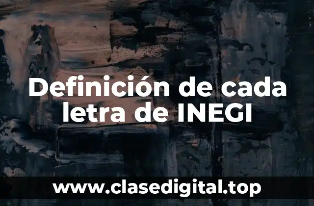 Definición de cada letra de INEGI