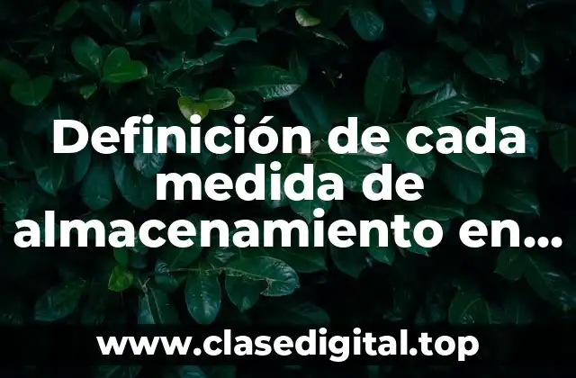 Definición técnica de una medida de almacenamiento en informática