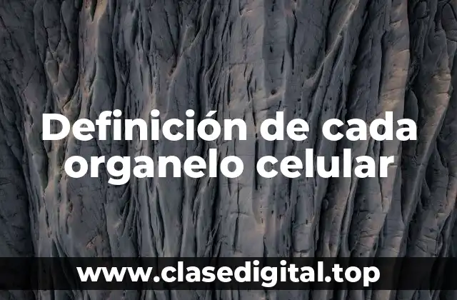 Definición de cada organelo celular