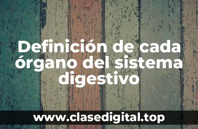 Definición de cada órgano del sistema digestivo
