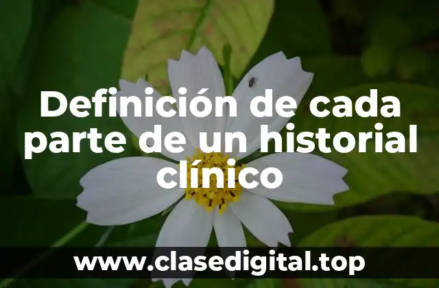Definición de cada parte de un historial clínico