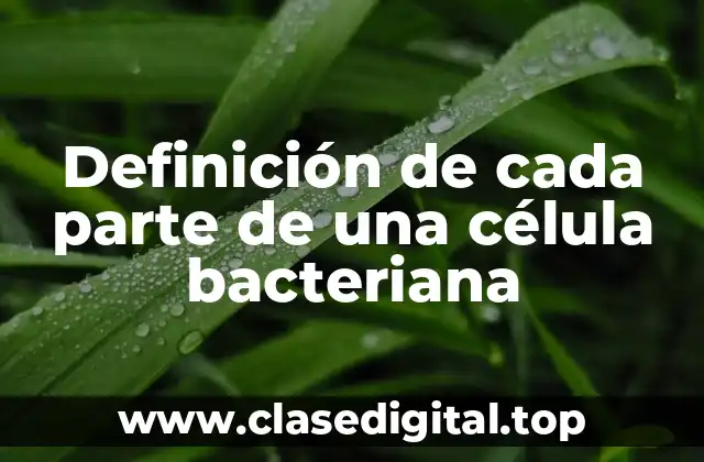Definición de cada parte de una célula bacteriana