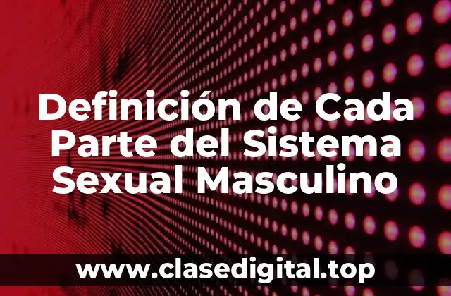 Definición de Cada Parte del Sistema Sexual Masculino