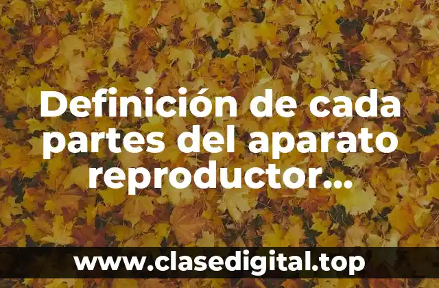 Definición de cada partes del aparato reproductor femenino