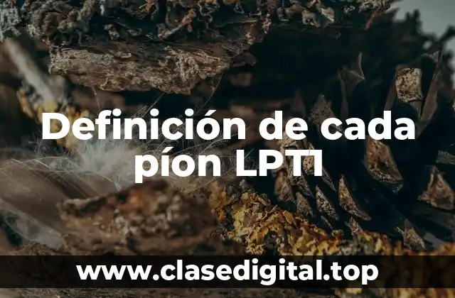 Definición de cada píon LPT1