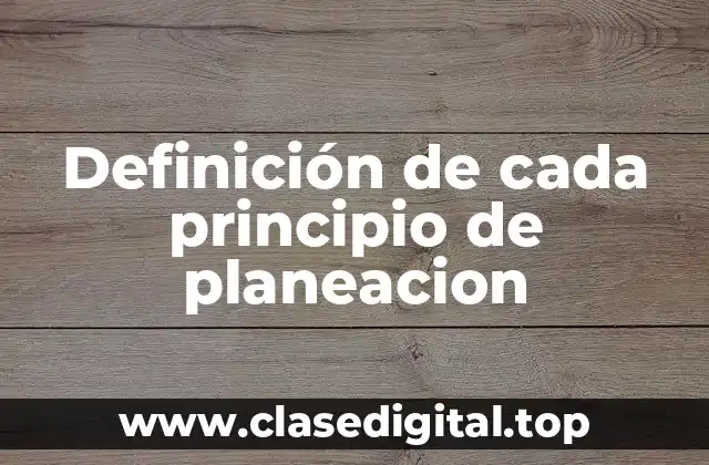 Definición de cada principio de planeacion