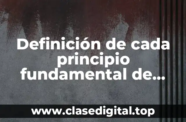 Definición de cada principio fundamental de desarrollo sustentable