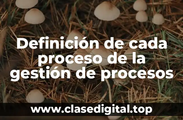 Definición de cada proceso de la gestión de procesos