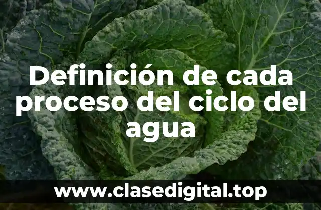 Definición de cada proceso del ciclo del agua