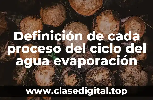 Definición de cada proceso del ciclo del agua evaporación