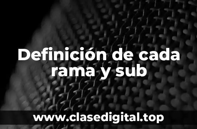 Definición técnica de cada rama y sub-ramas