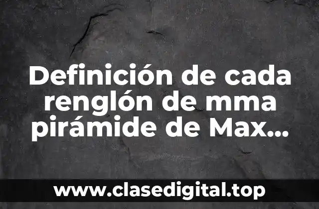 Definición de cada renglón de mma pirámide de Max Scheler