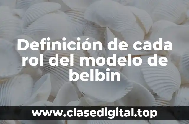 Definición de cada rol del modelo de belbin