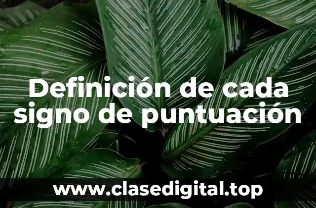 Definición de cada signo de puntuación