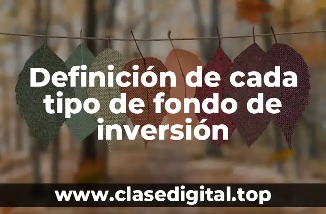 Definición de cada tipo de fondo de inversión